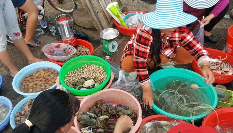 Chợ hải sản Ninh Thuận tấp nập với nguồn nguyên liệu tươi ngon